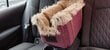 Lemmikkien pesä Amibelle Locky, viininpunainen, 44 x 27 x 22 cm hinta ja tiedot | Koiran matkatarvikkeet | hobbyhall.fi