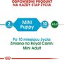 Täysravinto Royal Canin Mini Puppy, 85 g hinta ja tiedot | Koiran märkäruoka | hobbyhall.fi