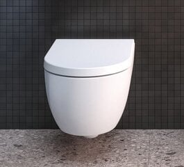 Seinälle kiinnitettävä wc-istuin Ideal Standard WC Blend Curve Aquablade hitaasti sulkeutuvalla kannella T374901 / T376001 hinta ja tiedot | WC-istuimet | hobbyhall.fi