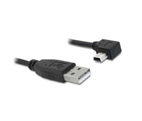 Delock - Kaapeli USB A (M) -> Mini USB BM5P (M) 2m hinta ja tiedot | Kaapelit ja adapterit | hobbyhall.fi