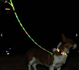 Valaistu LED talutushihna koirille MT7118 (sininen) hinta ja tiedot | Koiran talutushihnat | hobbyhall.fi