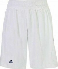 Miesten Adidas-shortsit, valkoiset hinta ja tiedot | Miesten shortsit | hobbyhall.fi