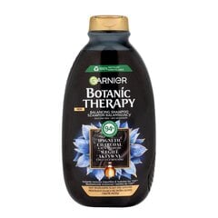 Tasapainottava shampoo rasvaisille hiuksille ja kuivalle päänahalle aktiivihiilellä Garnier Botanic Therapy, 400 ml hinta ja tiedot | Shampoot | hobbyhall.fi