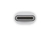 Apple USB-C to USB adapter - MJ1M2ZM/A hinta ja tiedot | Adapterit | hobbyhall.fi