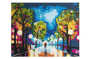 Nassau Numeromaalaus, Midnight walk, 40x50 cm hinta ja tiedot | Maalaa numeroiden mukaan | hobbyhall.fi