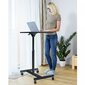 Tatkraft Focus Airlift Sit-Stand siirrettävä ergonominen tietokonepöytä hinta ja tiedot | Tietokonepöydät ja työpöydät | hobbyhall.fi