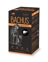 Bachus Hepatic& Digest ravintolisä, 60 tablettia hinta ja tiedot | Koiran terveys ja hyvinvointi | hobbyhall.fi