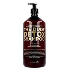 Syväpuhdistava shampoo Waterclouds The Dude Detox Shampoo, 1000 ml hinta ja tiedot | Shampoot | hobbyhall.fi