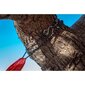 Hammock Amazonas Travel Set, punainen hinta ja tiedot | Riippumatot | hobbyhall.fi