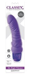 Mr.vibraattori Oikea, violetin värinen, 19 cm mittainen hinta ja tiedot | Vibraattorit | hobbyhall.fi