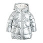 Cool Club Paw Patrol (Ryhmä Hau) lasten takki, LOG2313028 116 cm hinta ja tiedot | Lasten talvivaatteet | hobbyhall.fi