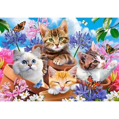 Kittens with Flower / Kissanpennut ja kukat -palapeli 53513, 500 palaa hinta ja tiedot | Palapelit | hobbyhall.fi