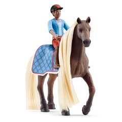 Schleich Horse Club Beauty Leo ja Rocky Starter Set -leikkisetti hinta ja tiedot | Tyttöjen lelut | hobbyhall.fi