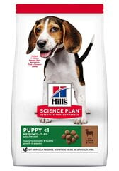 Kuivaruoka pennuille Hill's Science Plan Puppy Medium, lammasta ja riisiä, 18 kg. hinta ja tiedot | Koiran kuivaruoka | hobbyhall.fi