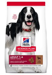 Koiranruoka Hill's Science Plan Medium Adult lammas ja riisi, 2,5 kg hinta ja tiedot | Koiran kuivaruoka | hobbyhall.fi