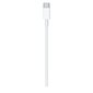 Apple MLL82ZM / 2 metrin USB-C-kaapeli hinta ja tiedot | Puhelinkaapelit | hobbyhall.fi