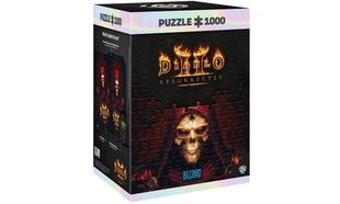 Diablo II: Resurrected palapeli hinta ja tiedot | Palapelit | hobbyhall.fi