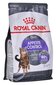Royal Canin Appetite Control -kuivaruoka kissoille, 0,4 kg hinta ja tiedot | Kissan kuivaruoka | hobbyhall.fi