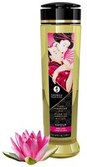 Hierontaöljy Shunga Amour Sweet Lotus, 240 ml hinta ja tiedot | Shunga Erotiikkatuotteet | hobbyhall.fi