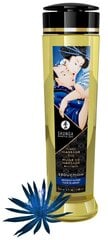 Hierontaöljy Shunga Seduction Midnight Flower, 240 ml hinta ja tiedot | Shunga Erotiikkatuotteet | hobbyhall.fi