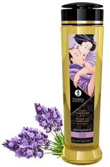 Hierontaöljy Shunga Sensation Lavender, 240 ml hinta ja tiedot | Shunga Intiimihygienia | hobbyhall.fi