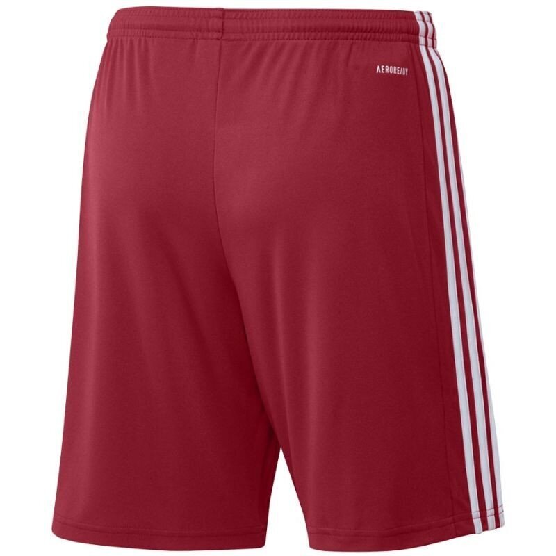 Miesten urheilushortsit Adidas Squadra 21 Short M, punainen hinta ja tiedot | Miesten urheiluvaatteet | hobbyhall.fi