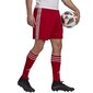 Miesten urheilushortsit Adidas Squadra 21 Short M, punainen hinta ja tiedot | Miesten urheiluvaatteet | hobbyhall.fi