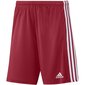 Miesten urheilushortsit Adidas Squadra 21 Short M, punainen hinta ja tiedot | Miesten urheiluvaatteet | hobbyhall.fi