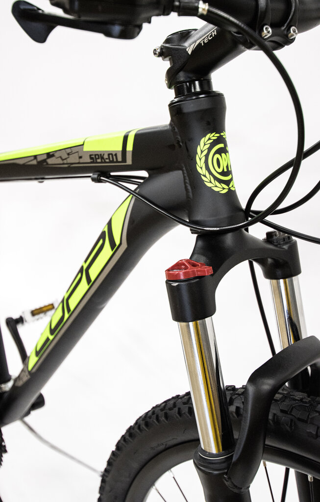 Maastopyörä 29" MTB BLACK/GREEN/8001446121207 COPPI hinta ja tiedot | Polkupyörät | hobbyhall.fi