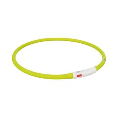 Valokaulapanta Trixie LED USB, silikoni, XS-XL 70cm/10mm, vihreä hinta ja tiedot | Koiran valjaat ja kaulapannat | hobbyhall.fi