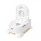 Fisher Price Potty Home Decor 4 in 1 Deluxe -potta hinta ja tiedot | Potat | hobbyhall.fi