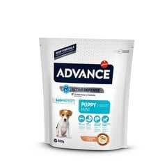 Kuivaruoka pennuille ADVANCE Puppy Protect Mini, 0,8 kg hinta ja tiedot | Koiran kuivaruoka | hobbyhall.fi