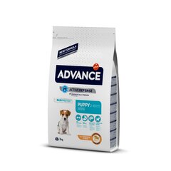 Advance Puppy Mini pienten rotujen kasvaville pennuille, 3 kg hinta ja tiedot | Koiran kuivaruoka | hobbyhall.fi