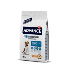 Advance Mini Adult pienikokoisille koirille kanan ja riisin kanssa, 3 kg hinta ja tiedot | Koiran kuivaruoka | hobbyhall.fi