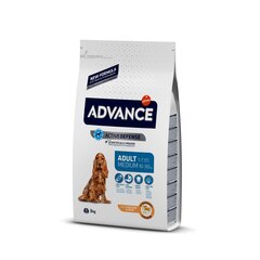 Advance Medium Adult siipikarjan ja riisin kanssa, 3 kg hinta ja tiedot | Koiran kuivaruoka | hobbyhall.fi