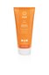 Ayurveda shampoo rasvaiselle päänahalle Orange Vitality Elixir, Khadi 200ml hinta ja tiedot | Shampoot | hobbyhall.fi