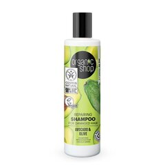 Hiuksia palauttava shampoo Organic Shop Moroccan Princess, 280 ml hinta ja tiedot | Shampoot | hobbyhall.fi