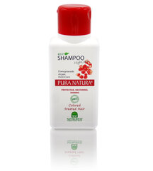 Shampoo värjätyille hiuksille Natura House Pura Natura 250 ml hinta ja tiedot | Shampoot | hobbyhall.fi