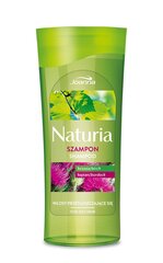 Shampoo rasvaisille hiuksille koivulla ja takiaisella Joanna Naturia 200 ml hinta ja tiedot | Shampoot | hobbyhall.fi