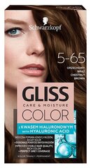 Hiusväri Schwarzkopf Gliss Color 5-65 Chestnut Brown hinta ja tiedot | Hiusvärit | hobbyhall.fi