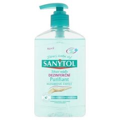 Desinfioiva vesisaippua 250 ml Purifiant hinta ja tiedot | Sanytol Hajuvedet ja kosmetiikka | hobbyhall.fi