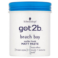 Matt Paste (Surfer Look Matt Paste) 100 ml hinta ja tiedot | Kampaamotuotteet | hobbyhall.fi