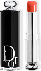 Dior Addict huulipuna Barra De Labios 744 1un hinta ja tiedot | Huulipunat, huulikiillot ja huulirasvat | hobbyhall.fi