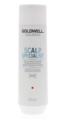 Shampoo Goldwell Dualsenses Deep Cleansing 250 ml hinta ja tiedot | Shampoot | hobbyhall.fi