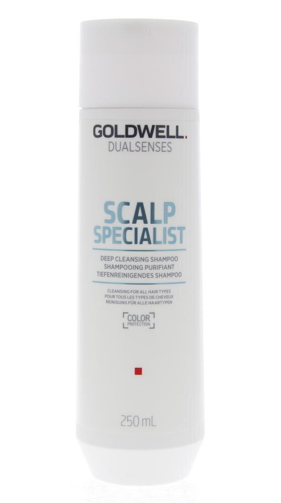 Shampoo Goldwell Dualsenses Deep Cleansing 250 ml hinta ja tiedot | Shampoot | hobbyhall.fi