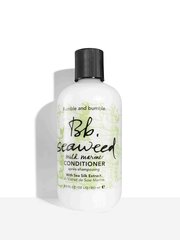 Hiustenhoitoaine Bumble & Bumble Seaweed 250 ml hinta ja tiedot | Bumble and bumble Hiustenhoitotuotteet | hobbyhall.fi