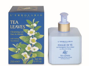 L'Erbolario Tea Leaves puhdistusgeeli 250 ml hinta ja tiedot | Saippuat | hobbyhall.fi