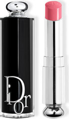 Dior Addict huulipuna Barra De Labios 373 1un hinta ja tiedot | Huulipunat, huulikiillot ja huulirasvat | hobbyhall.fi