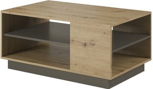 Sohvapöytä Arco tammi/harmaa hinta ja tiedot | Sohvapöydät | hobbyhall.fi