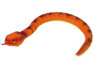 Interaktiivinen käärme, anakonda 70 cm R/C, oranssi hinta ja tiedot | Poikien lelut | hobbyhall.fi